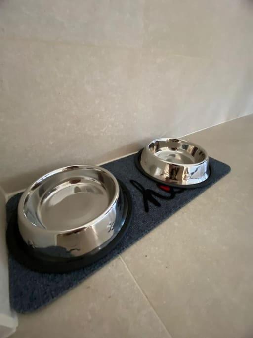 Kronstadt Apartment - Pet Friendly براشوف المظهر الخارجي الصورة